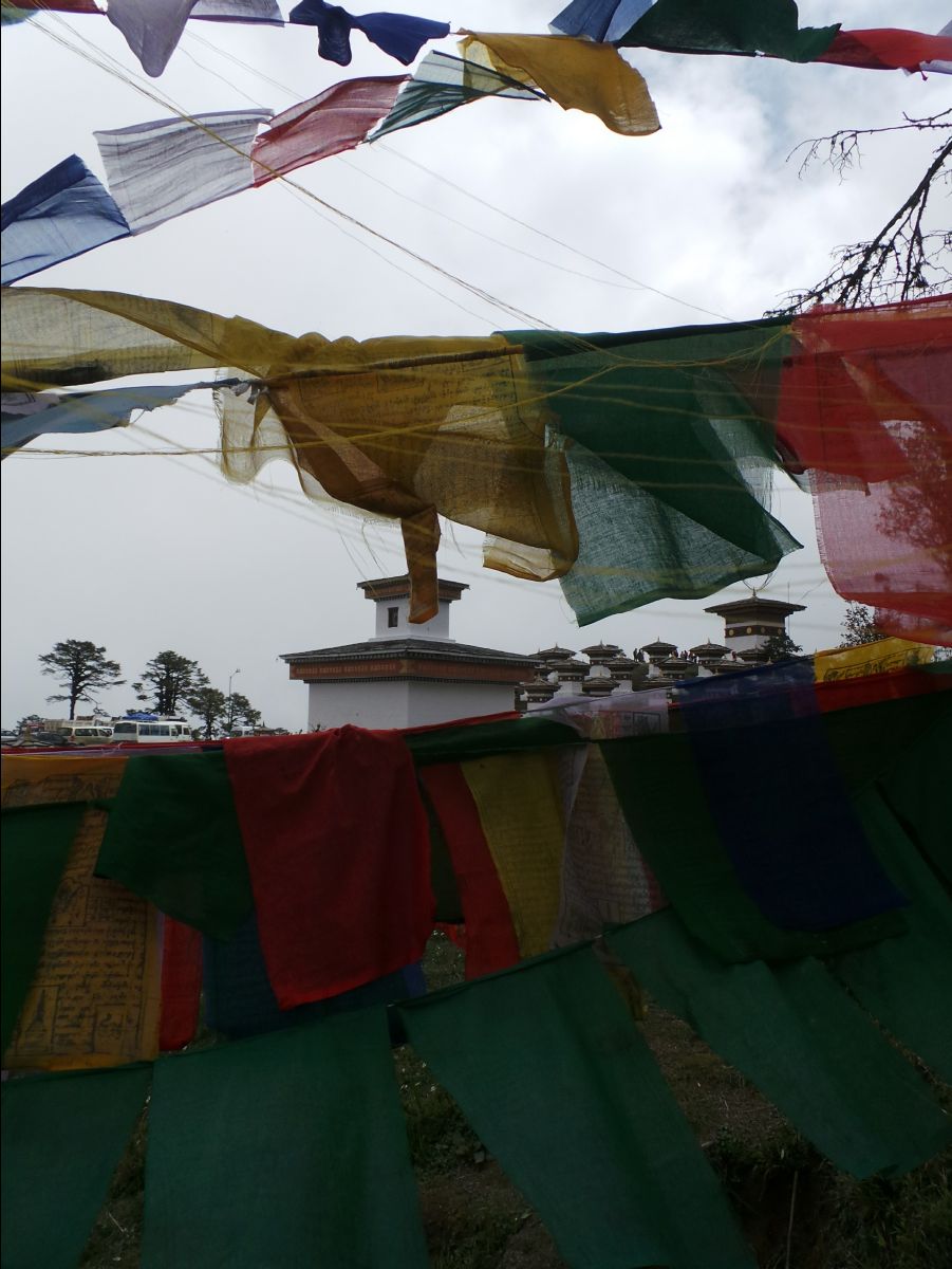 Dochula Pass19